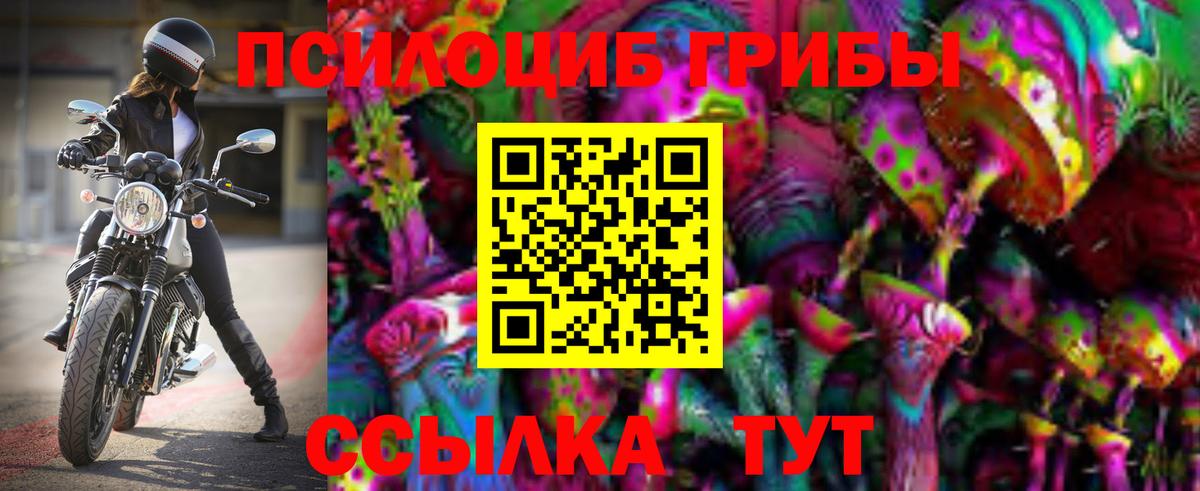 Тихвин  Галлюциногенные грибы прущие грибы  Вход с VPN  Галлюциногенные грибы MAGIC MUSHROOMS 